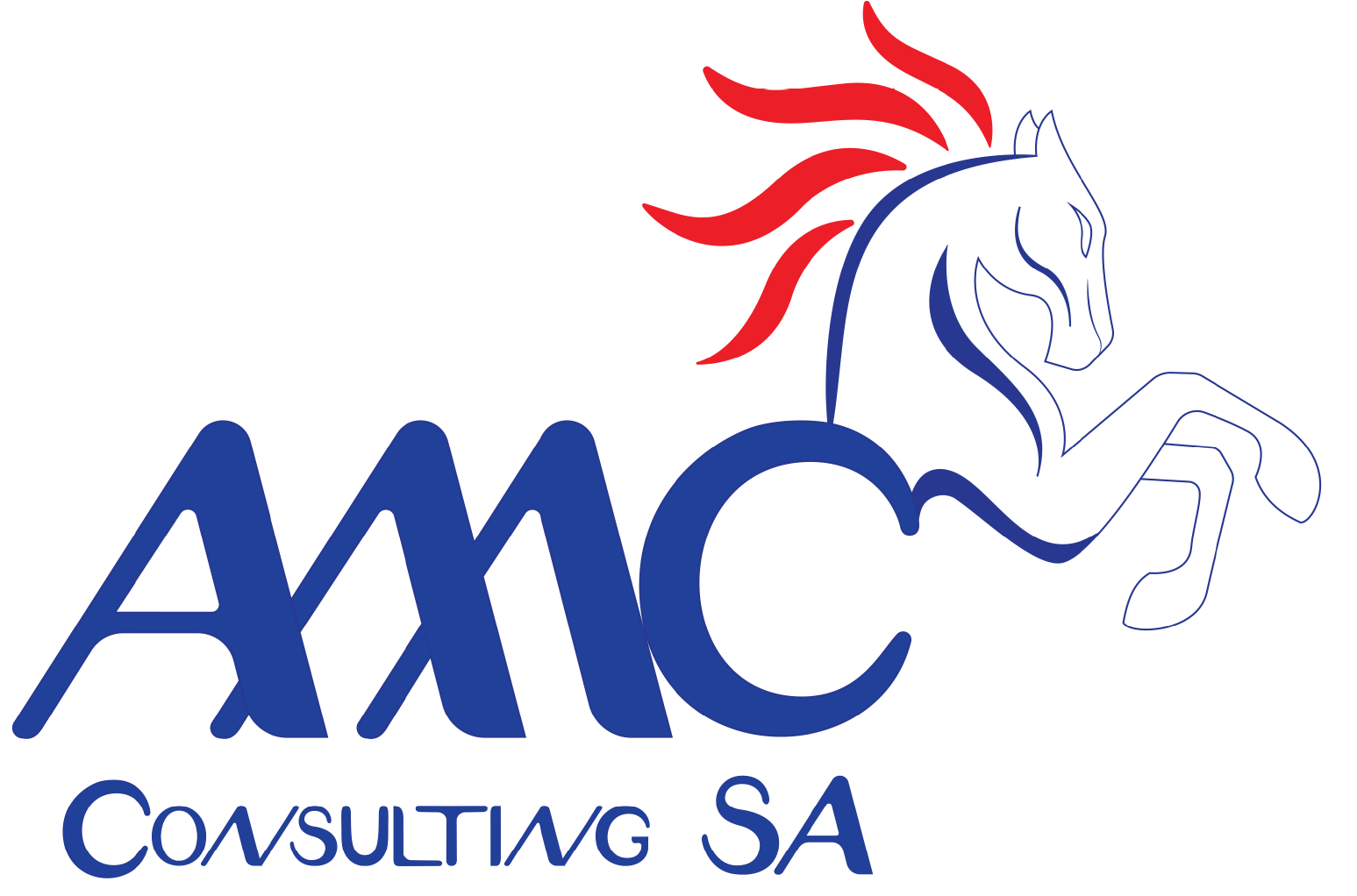 AMC Consulting