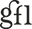GFL Cosmetics
